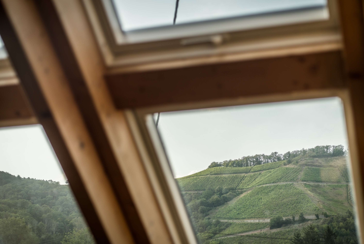 WOW  TRAUMHAFTE MAISONETTE-WOHNUNG UMGEBEN VON WEINBERGEN!