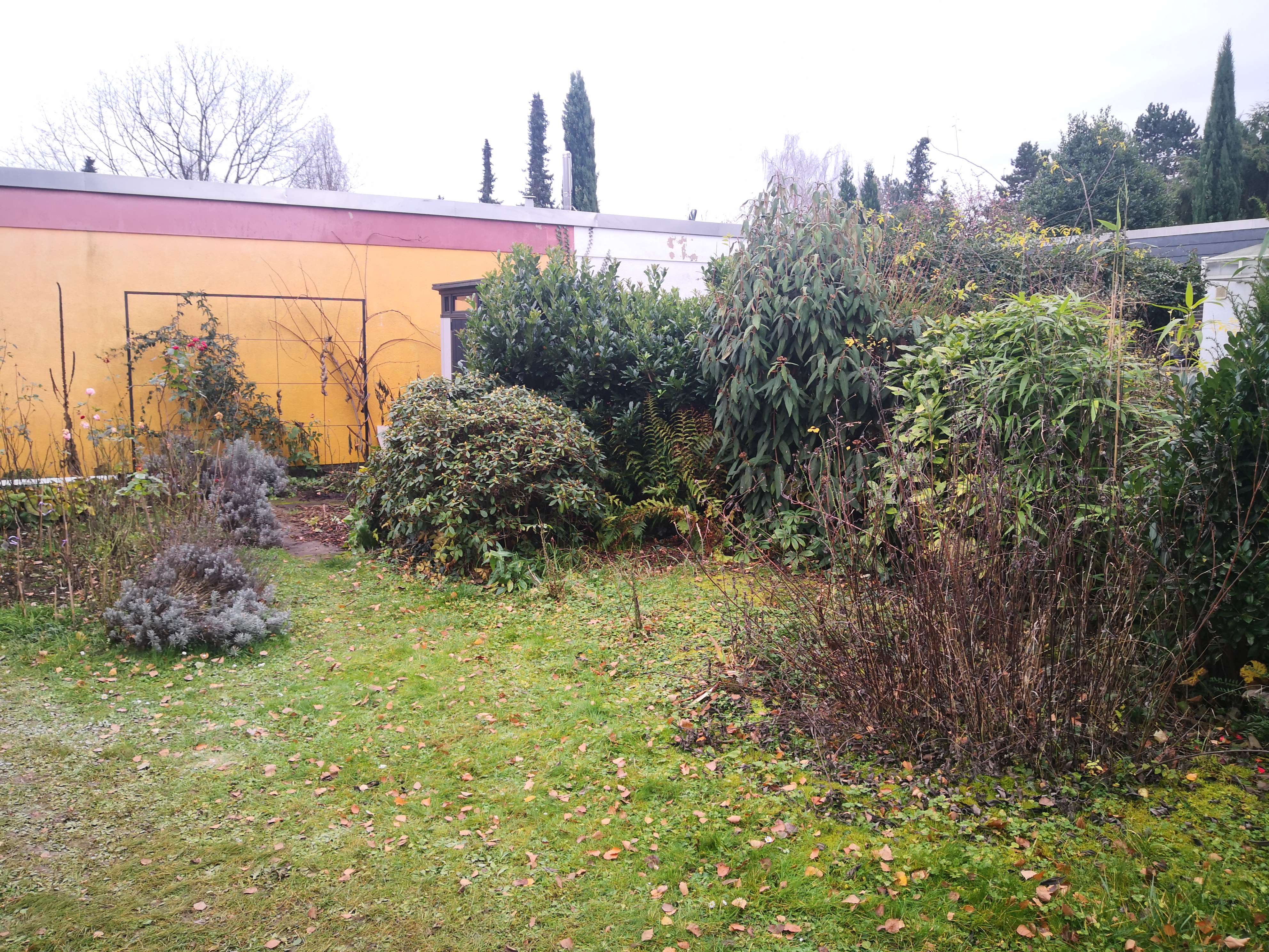 NEU  BUNGALOW-ERSTBEZUG NACH KERNSANIERUNG MIT GARTEN