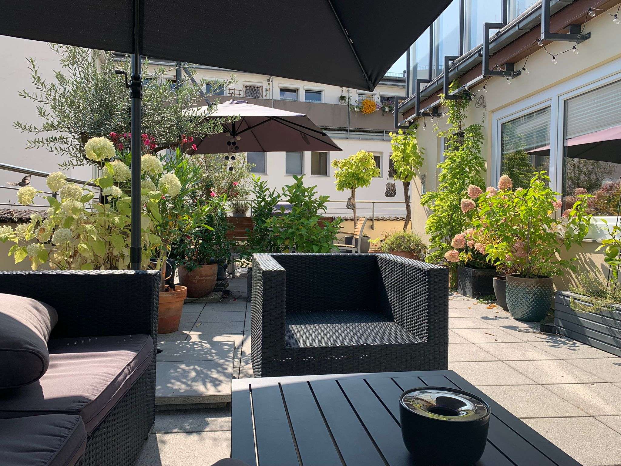 NEU  TOLLE DACHTERRASSE ! ZENTRALER ALS HIER GEHT ES NICHT !