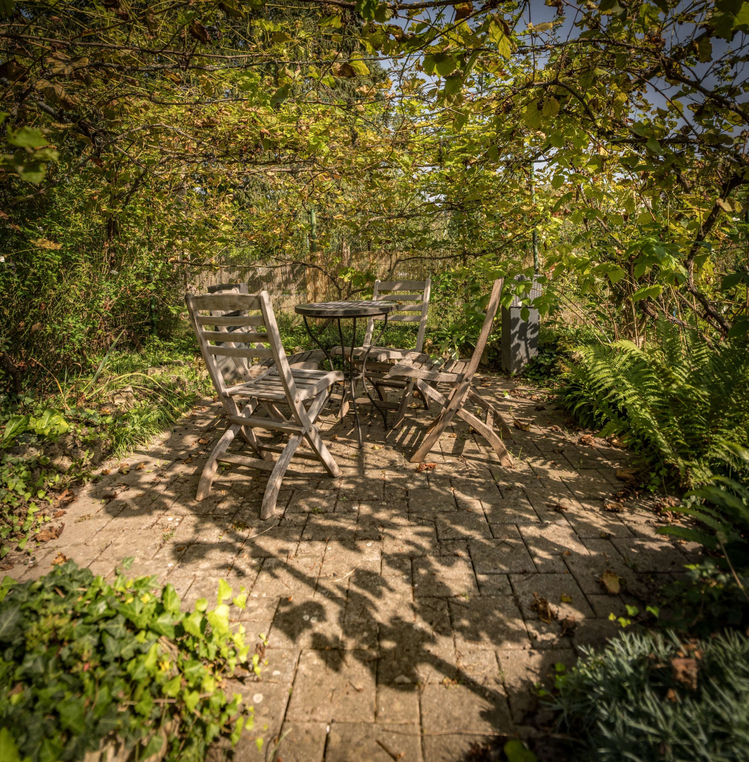 VORANKÜNDIGUNG  IHR HAUS MIT GARTEN !